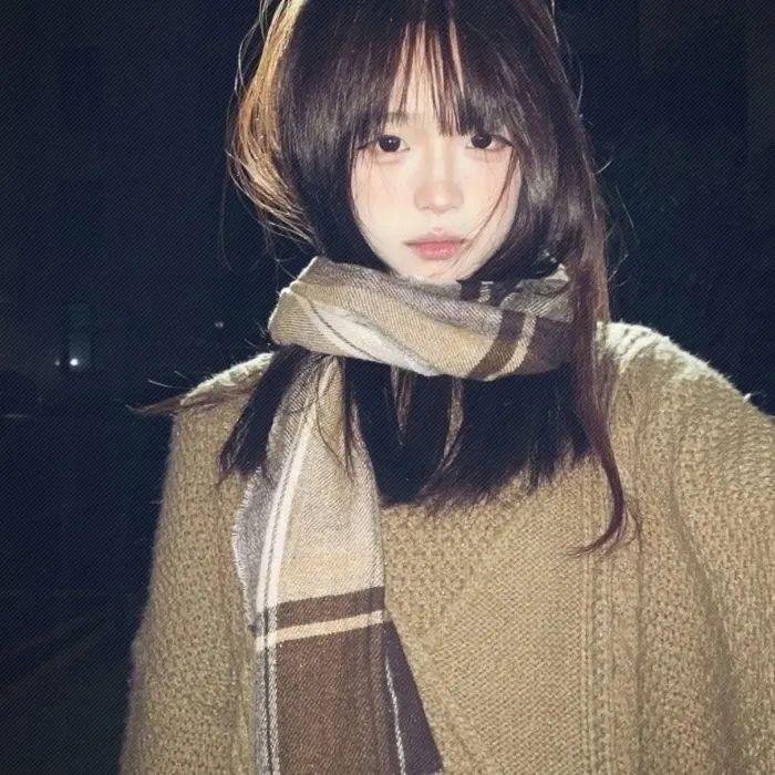 冬狮(电视剧)